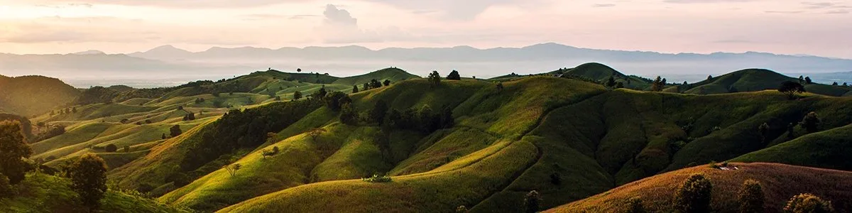 Altın tozunuzu geri kazanın