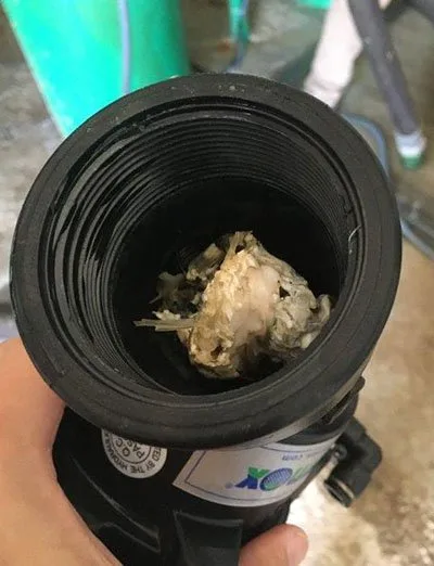 DSİ Eskişehir Kuzfındık filtrasyonu