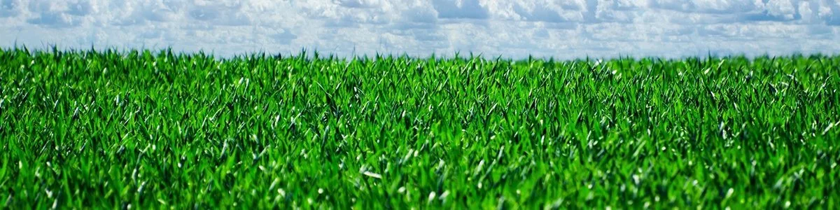 Su Geri Kazanımı ve Geri Dönüşümü uzmanı